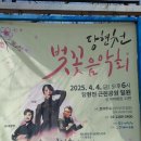 당현천 벚꽃음악회 이미지