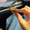 동안보건소 화장실 | 광주 프레메디 산전검사 후기+나팔관 조영술 후기/ e보건소 산전검사 지원금 청구 방법