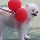 구리광장 이미지