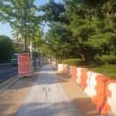 분당-256 이미지