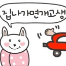 웰컴독애견펜션 이미지