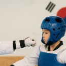 153태권도장 이미지