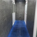 로키 스위밍 클럽 이미지