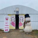 승훈농장 | 충남 보령 딸기체험 보령팜 체험농장 후기