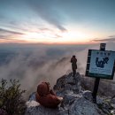 자연농원여명 이미지