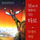 타로로 읽는 하루 이미지