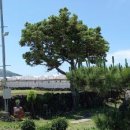 우주펜션 이미지