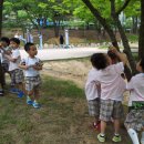 느티나무유치원 이미지