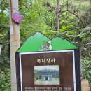 한실골 | 대구 근교 팔공산 올레길 1코스 북지장사 소나무 숲 걷기 좋은 길