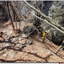 신석산 등산로 이미지