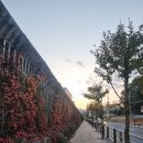 천주교 함양성당 이미지