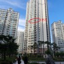 경기도 수원시 영통구 효원로 이미지