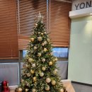 강남힐병원 이미지