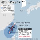 태풍에서 살아남기
