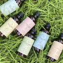 위즈코퍼레이션 이미지