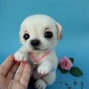 아름다운 동물병원 이미지