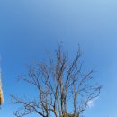 가호리 고인돌 | 청주 문의문화재단지