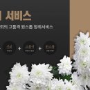 해피프리드