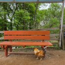 홍천(서울) | 홍천 알파카월드 아이랑 ❤️서울 근교 당일치기 내돈내산 솔직후기