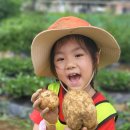 푸른무지개유치원 이미지