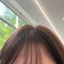씨유 송파테라타워점 | 송파/문정/ 준오헤어 테라타워점 /애쉬브라운 염색 후기 / 아쉬웠던 점/준오헤어문정/문정역 미용실