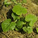 내곡농장 이미지