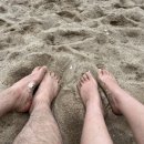 낙산관광안내소 이미지