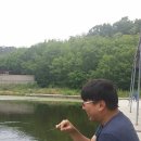 약산낚시터 | 2015년 5월 31일 약산낚시터 아사다나양당고