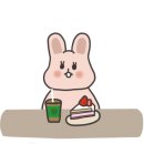 베베캣 고양이 이미지