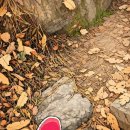 척추자세교정 걷기테라피 이미지