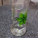 성미의집 이미지