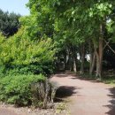 좌구산 오토캠핑장 이미지