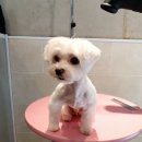 감성그루밍 이미지