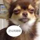 쏠레미오(주) 이미지