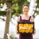 변산농장 이미지