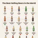 販賣量이 많은 beer 이미지