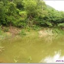 산천낚시터 이미지