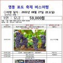 2022년 8월 27일 (토) 영동 포도 축제 즐거운 과일나라 포도따기체험 당일투어 이미지