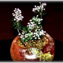 독불장군 이미지