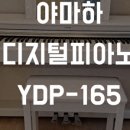 (주)디지털세종