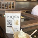 박포목장 네이버블로그