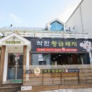 비비큐강릉