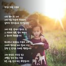 미송 이미지