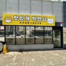 맛있개 먹었냥 이미지