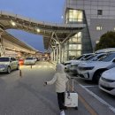 보홀 0.5박 숙소 단비리조트 입국팩 이용 후기(내돈내산)