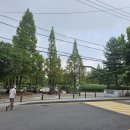 무궁화공원 농구장 이미지