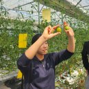 맛디아농장 이미지