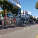 정관장 앞 횡단보도 이미지