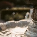 장에스테 이미지