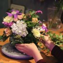 컨포지움 이미지